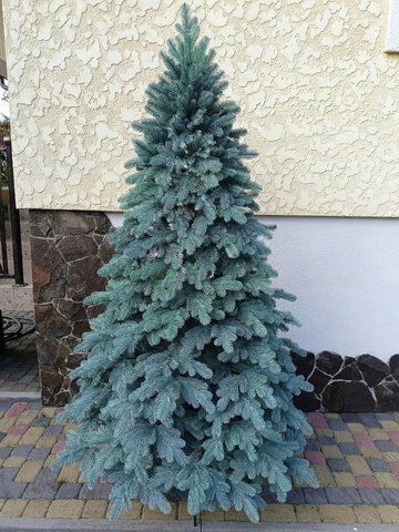 Лита ялинка Ковалівська 3.00 м. блакитна Ковал.Г-300 фото
